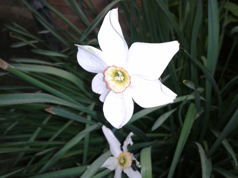 2013-05-10 17.38.24.jpg